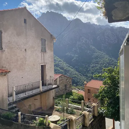 Ota T2 Proche Rivières Et Plages, Randonnées