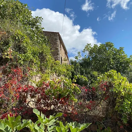 Ota T2 Proche Rivieres Et Plages, Randonnees